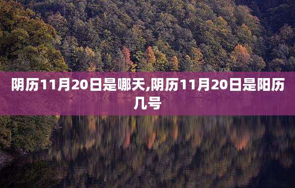 阴历11月20日是哪天,阴历11月20日是阳历几号