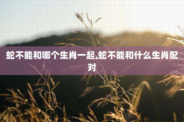 蛇不能和哪个生肖一起,蛇不能和什么生肖配对