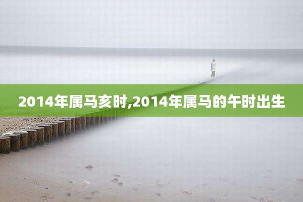 2014年属马亥时,2014年属马的午时出生