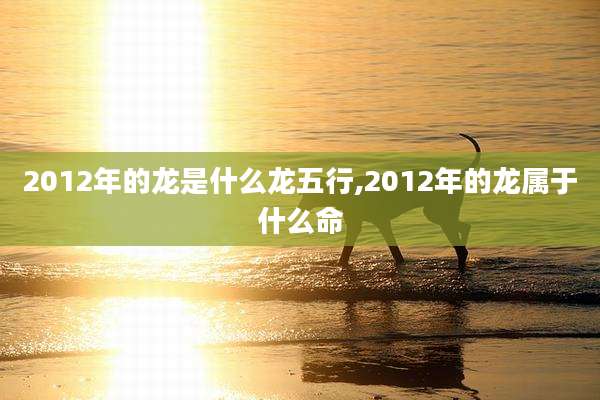 2012年的龙是什么龙五行,2012年的龙属于什么命