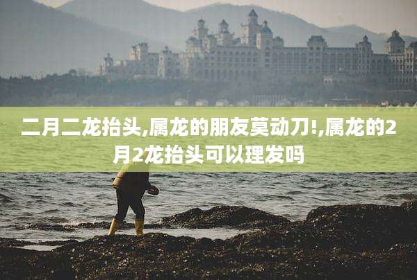 二月二龙抬头,属龙的朋友莫动刀!,属龙的2月2龙抬头可以理发吗