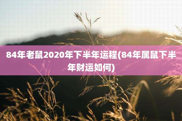 84年老鼠2020年下半年运程(84年属鼠下半年财运如何)