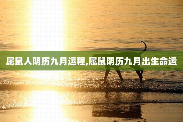 属鼠人阴历九月运程,属鼠阴历九月出生命运