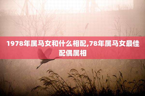 1978年属马女和什么相配,78年属马女最佳配偶属相