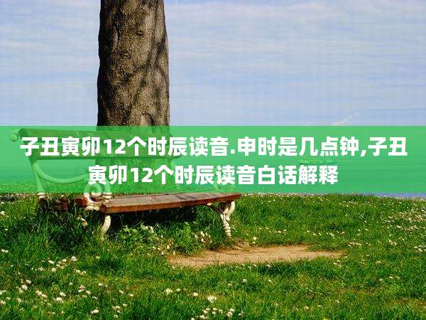 子丑寅卯12个时辰读音.申时是几点钟,子丑寅卯12个时辰读音白话解释