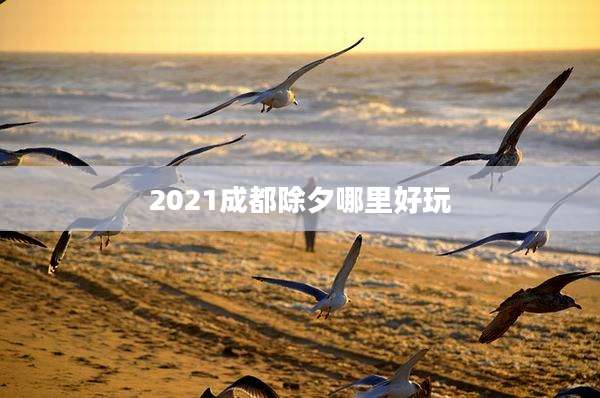 2021成都除夕哪里好玩