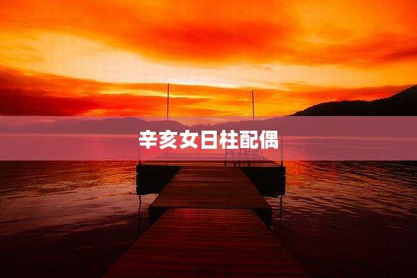 辛亥女日柱配偶