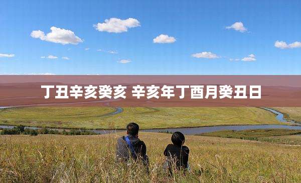 丁丑辛亥癸亥 辛亥年丁酉月癸丑日