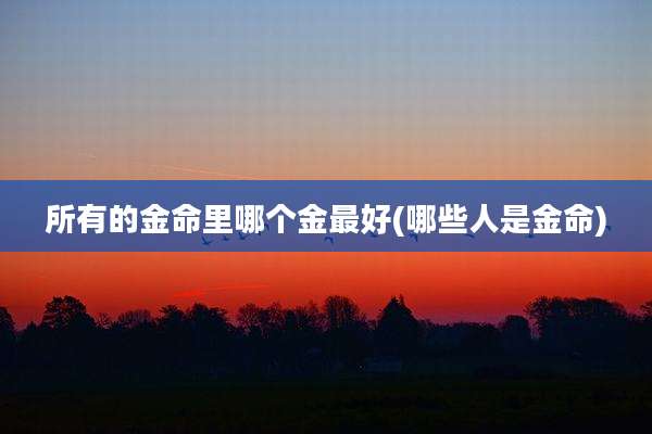 所有的金命里哪个金最好(哪些人是金命)