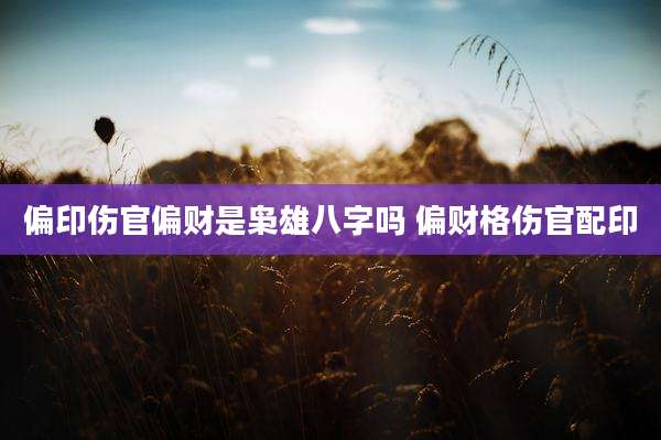 偏印伤官偏财是枭雄八字吗 偏财格伤官配印