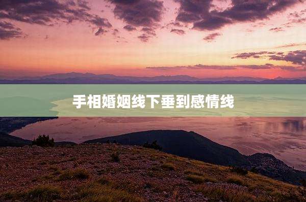 手相婚姻线下垂到感情线