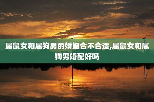 属鼠女和属狗男的婚姻合不合适,属鼠女和属狗男婚配好吗