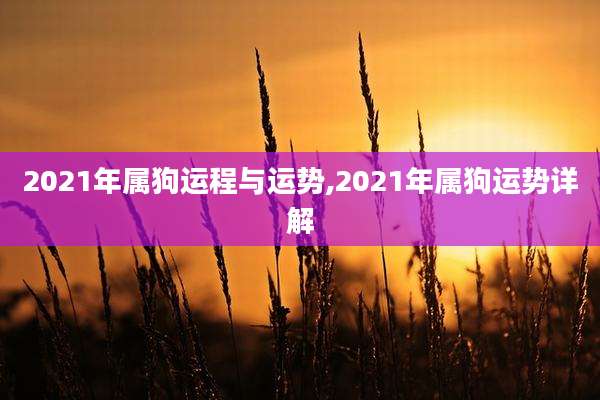 2021年属狗运程与运势,2021年属狗运势详解