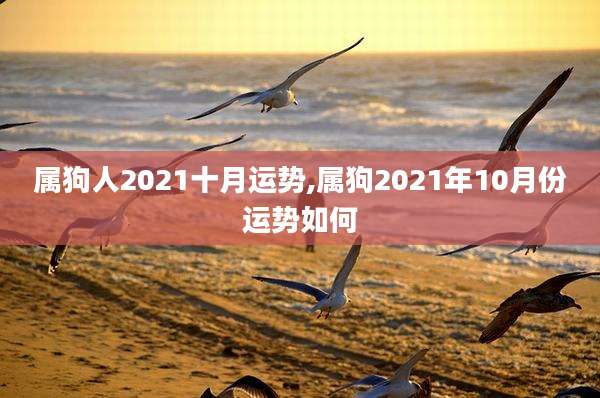 属狗人2021十月运势,属狗2021年10月份运势如何