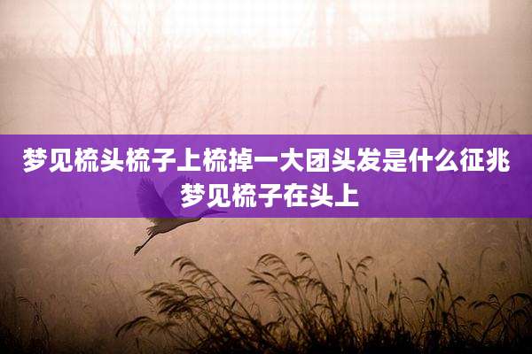 梦见梳头梳子上梳掉一大团头发是什么征兆 梦见梳子在头上