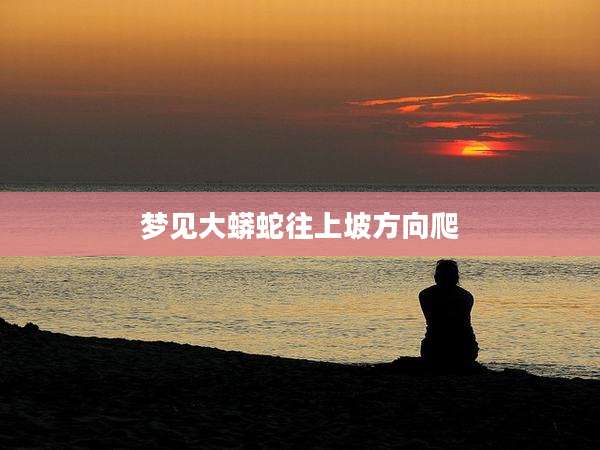 梦见大蟒蛇往上坡方向爬