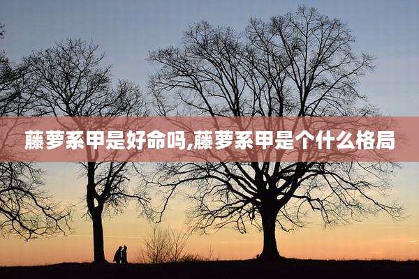 藤萝系甲是好命吗,藤萝系甲是个什么格局
