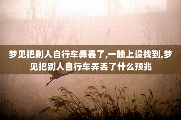梦见把别人自行车弄丢了,一晚上设找到,梦见把别人自行车弄丢了什么预兆