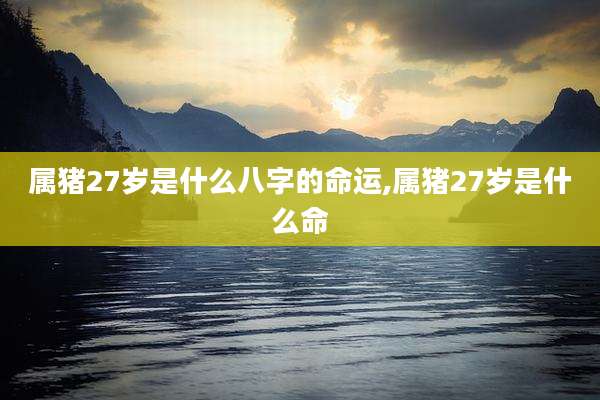 属猪27岁是什么八字的命运,属猪27岁是什么命
