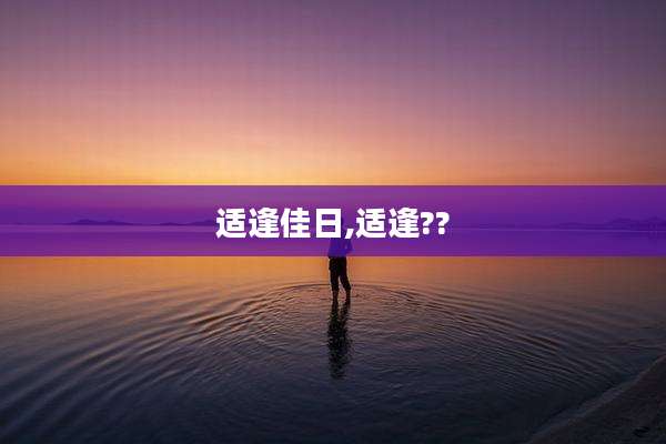 适逢佳日,适逢??