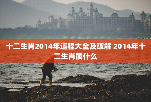 十二生肖2014年运程大全及破解 2014年十二生肖属什么