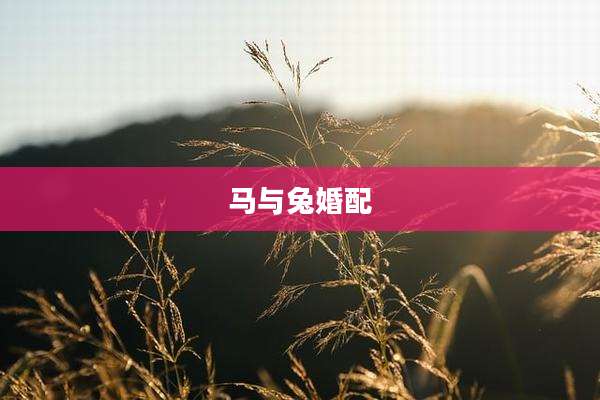 马与兔婚配
