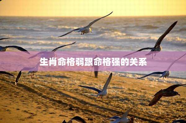 生肖命格弱跟命格强的关系