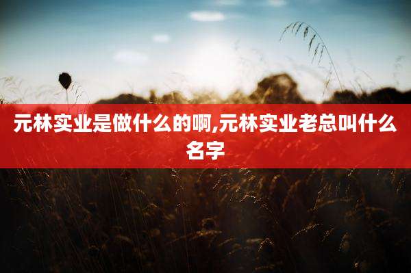 元林实业是做什么的啊,元林实业老总叫什么名字