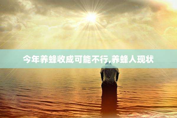 今年养蜂收成可能不行,养蜂人现状