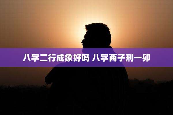 八字二行成象好吗 八字两子刑一卯