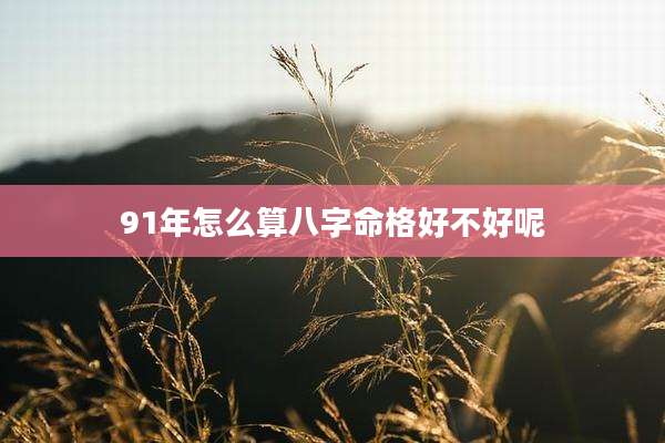 91年怎么算八字命格好不好呢