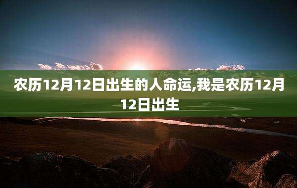 农历12月12日出生的人命运,我是农历12月12日出生