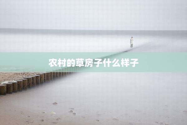 农村的草房子什么样子