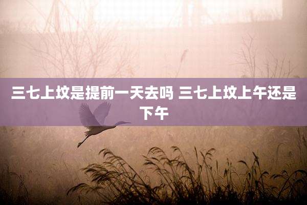 三七上坟是提前一天去吗 三七上坟上午还是下午