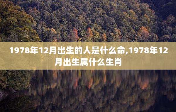 1978年12月出生的人是什么命,1978年12月出生属什么生肖