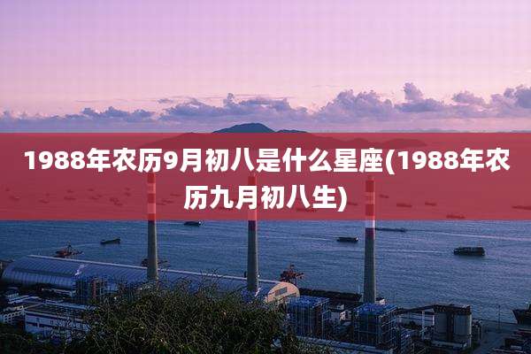1988年农历9月初八是什么星座(1988年农历九月初八生)