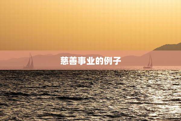 慈善事业的例子