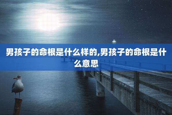 男孩子的命根是什么样的,男孩子的命根是什么意思