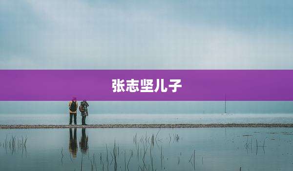 张志坚儿子