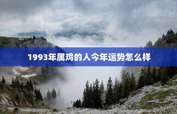 1993年属鸡的人今年运势怎么样