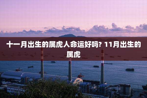 十一月出生的属虎人命运好吗? 11月出生的属虎