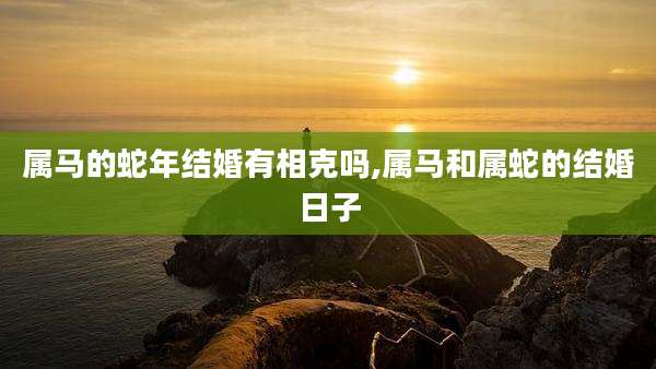 属马的蛇年结婚有相克吗,属马和属蛇的结婚日子