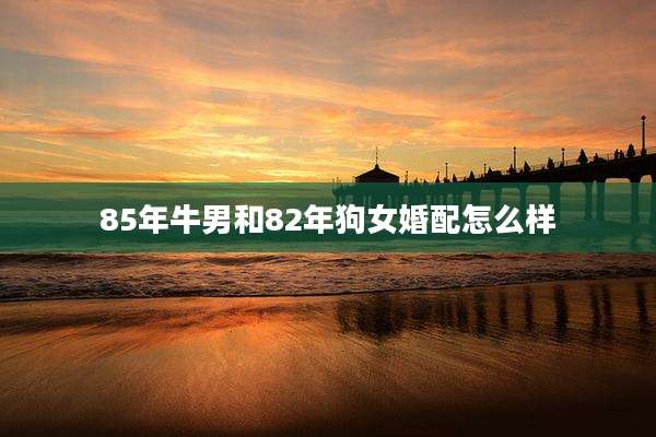 85年牛男和82年狗女婚配怎么样