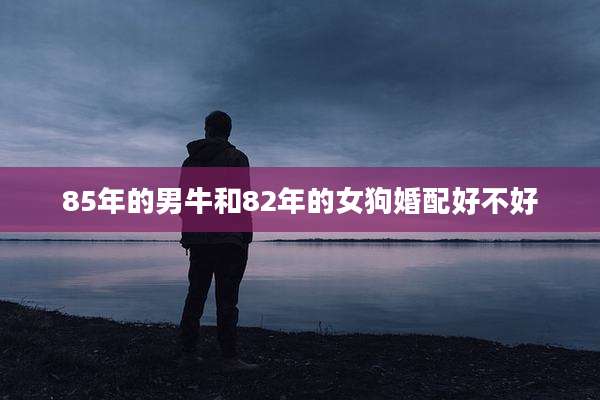 85年的男牛和82年的女狗婚配好不好
