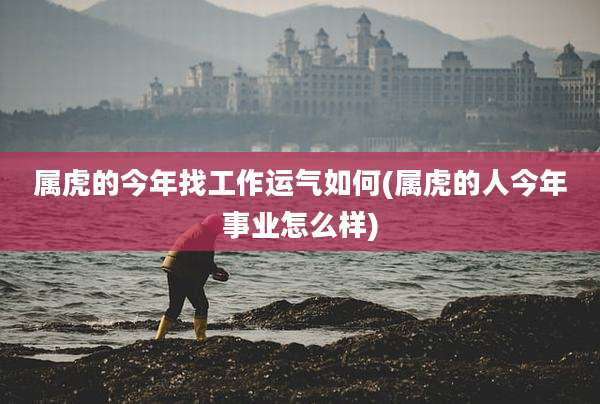 属虎的今年找工作运气如何(属虎的人今年事业怎么样)
