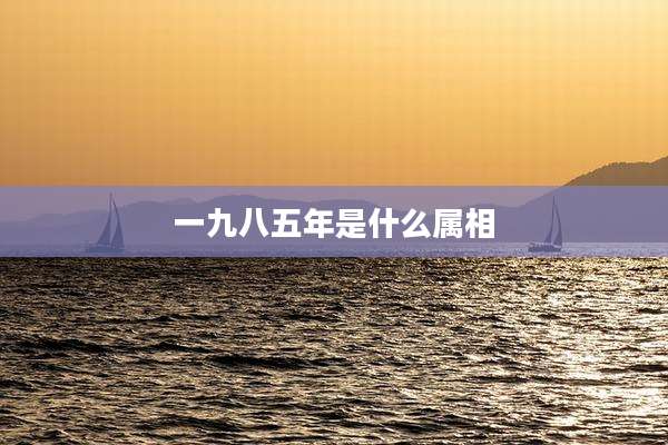 一九八五年是什么属相
