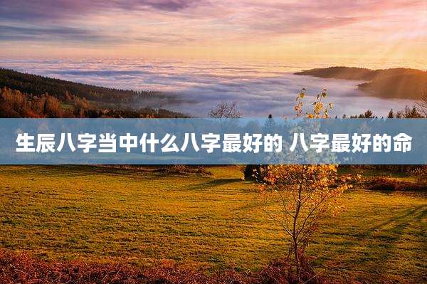 生辰八字当中什么八字最好的 八字最好的命