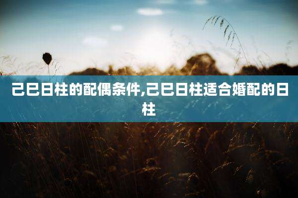 己巳日柱的配偶条件,己巳日柱适合婚配的日柱