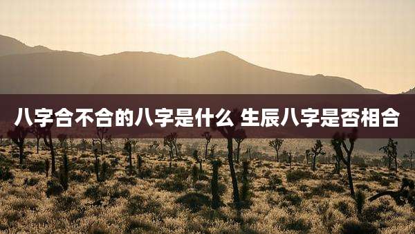 八字合不合的八字是什么 生辰八字是否相合