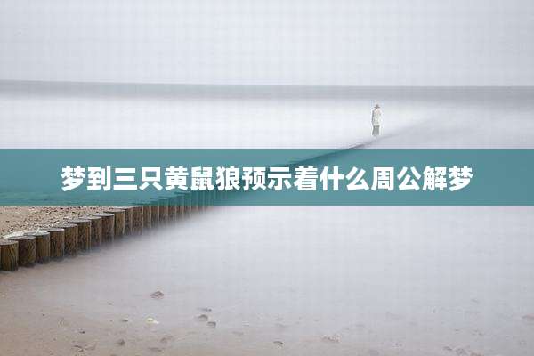 梦到三只黄鼠狼预示着什么周公解梦